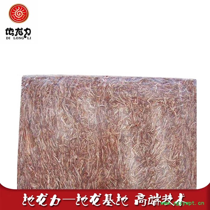 大平2号 蚯蚓 地龙 冰冻蚯蚓 蚯蚓冻块图2