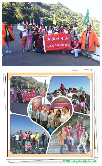 地龙蛋白80% 新资源食品  地龙粉  地龙提取物 斯诺特生物图3