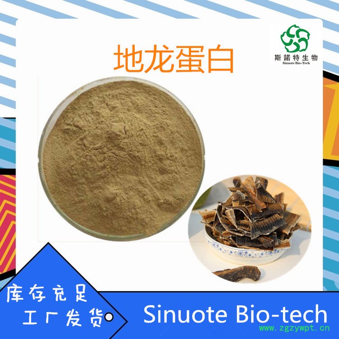 地龙蛋白80% 新资源食品  地龙粉  地龙提取物 斯诺特生物图6