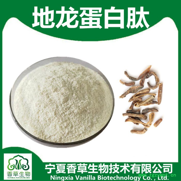 地龙蛋白肽85% 地龙小分子肽 地龙肽 宁夏厂家供应图2