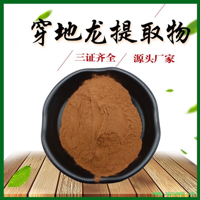 穿地龙提取物 10:1 穿地龙粉 穿地龙多糖 工厂生产 三证齐全 包邮图5