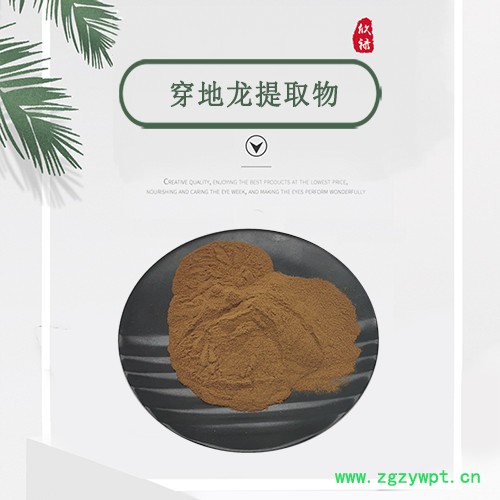 穿地龙提取物 10:1 富含穿地龙皂甙 穿地龙粉 规格齐全图5
