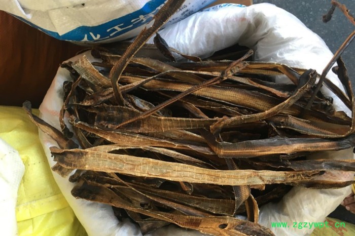 科能 蚯蚓烘干机价格 蚯蚓加工 热风烘干 环保节能污染排放 地龙烘干机图3