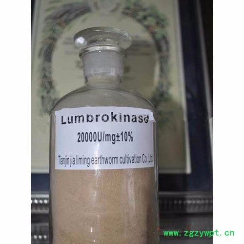 贾立明 蚯蚓酶 地龙提取物粉末 **地龙粉 从长期供应地龙蛋白 冻蚯蚓 干蚯蚓图5