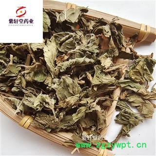 薄荷 野生薄荷 颜色绿 地道药材 药味浓 产地山东省图4