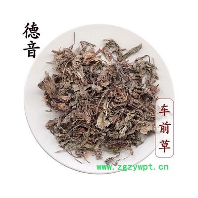 【满包邮】车前草 统货 产地四川 1000g 中药材批发 规格齐全