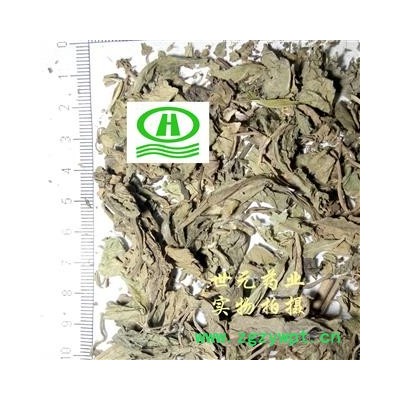 世元药业 地胆草 正品 别称丁茄夫 地苦胆 丁伽夫 地胆头 苦地胆 正品 优质 促销