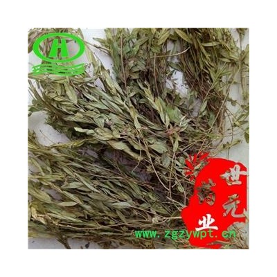 世元药业 瓜子金个子 正品 别称-辰砂草 金锁匙 瓜子草 挂米草 高脚瓜子草 产后草