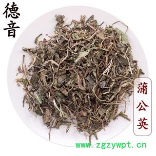 【满包邮】蒲公英 统货 产地河南 1000g 中药材批发 规格齐全