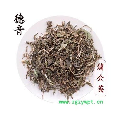 【满包邮】蒲公英 统货 产地河南 1000g 中药材批发 规格齐全