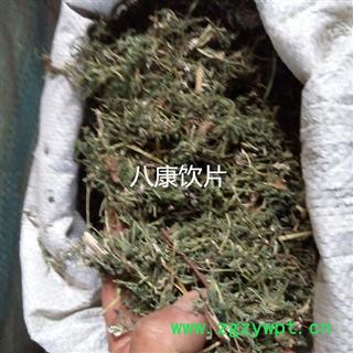 苦地丁 统 产地 河北省保定市安国市图3