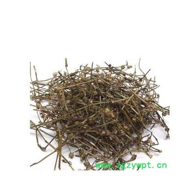 白花蛇舌草 白花蛇舌草家种统货 产地 河南省