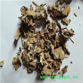 寻骨风 统 产地 湖北省荆门市沙洋县图3