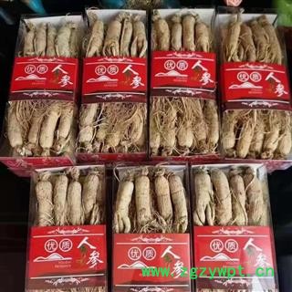 长白山人参，生晒参20支一斤，精品无杂参，无硫足干，长白山产地发货，自产自销图4
