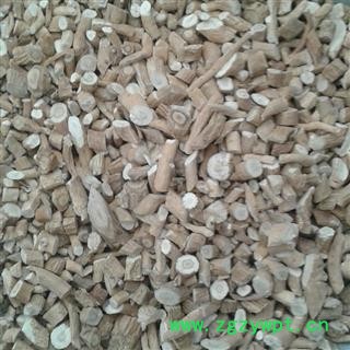 板蓝根 大个头 产地 甘肃省张掖市民乐县图2