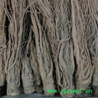 灵吉药业 全当归 岷当归 统货  无硫、无污染、纯天然农家自产当归图2