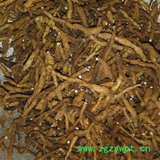 节菖蒲 选 产地 四川省攀枝花市东区图2