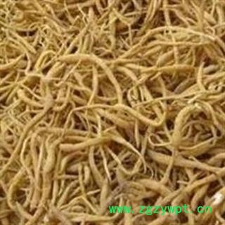 太子参 太子参小统 产地 贵州省图2