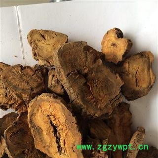 土大黄 统 产地 甘肃省定西市陇西县图2