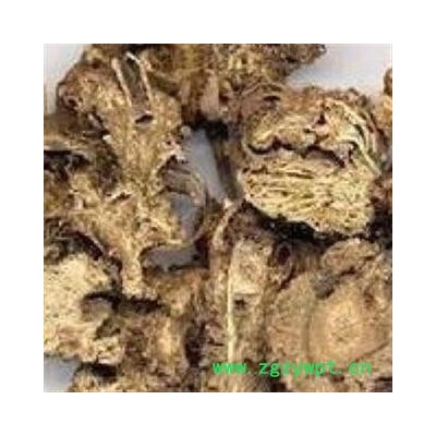 灵吉药业 藁本 货真价实  产地直销  批发各种规格中药材 花茶 矿石 冷背珍稀野生药材