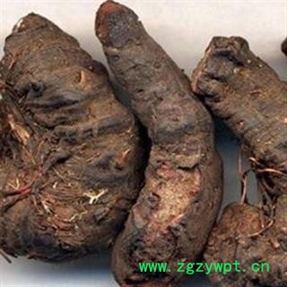 灵吉药业  拳参  拳蓼   紫参   地道药材 货真价实   批发各种规格中药材 花茶  矿石 野生冷背中药材图4