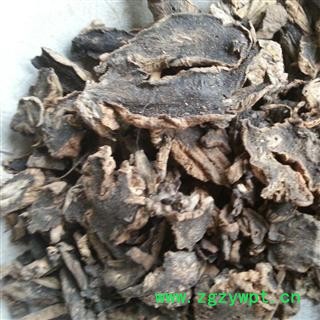 玄参 统 产地 河北省保定市安国市图2