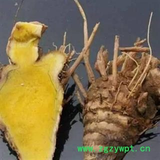 灵吉药业 姜黄 片姜黄  地道药材 货真价实  片子各种规格中药材 花茶  矿石 野生冷背中药材图4