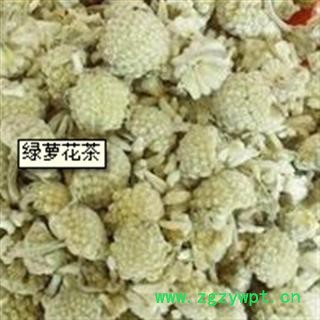 灵吉药业  雪里开 别名：雪萝花 绿萝花  雪梨花 黄金葛、藤芋、石柑子、马蹄金 优质正品图2