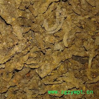 黄连 单支连 产地 重庆市市辖区巴南区图2