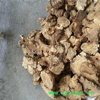 川芎 统 产地 四川省绵阳市三台县图2