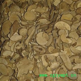 乌药 大片统  产地 浙江省衢州市龙游县图2