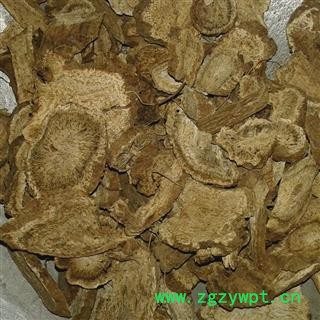 木香 统 产地 四川省南充市西充县图2