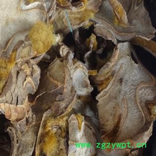 灵吉药业 金毛狗脊 货真价实 道地药材图3