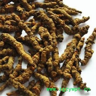 灵吉药业  黄连 正品  产地直销 货真价实 道地药材   批发各类规格中药材图2