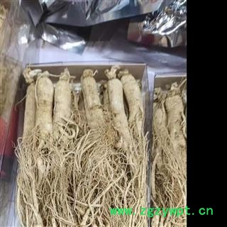 长白山人参，生晒参25支一斤，精品无杂参，无硫足干，长白山产地发货，自产自销图2