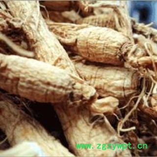 白参 70支 源自长白山 8年老人参 有质量问题包换 本色无硫 品质保障图3