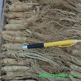 白参 70支 源自长白山 8年老人参 有质量问题包换 本色无硫 品质保障图2