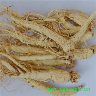 人参 生晒参 药厂统货图2