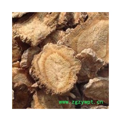 灵吉药业 防风  产地直销  批发各类规格中药材 花茶 矿石 冷背珍稀野生药材