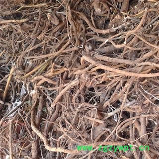 山豆根 统 产地 广西壮族自治区南宁市上林县图3