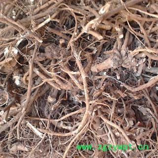 山豆根 统 产地 广西壮族自治区南宁市上林县