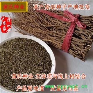 柴胡籽 藏柴胡籽 藏柴胡种籽 高产柴胡种子 量大优惠图3