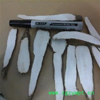 川白芷之遂宁白芷一二三级斜片 道地白芷 产地直销 常年有大货 遂宁市船山区图3