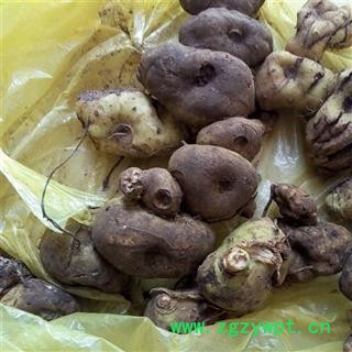 （包邮）黄精 选装黄精大个子 产地 云南省文山壮族苗族自治州文山县 库存 2000公斤可售图2