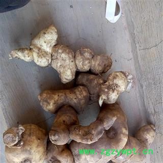 （包邮）黄精 选装黄精大个子 产地 云南省文山壮族苗族自治州文山县 库存 2000公斤可售图3