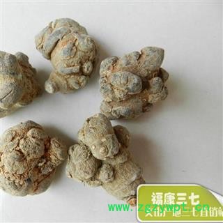 （包邮）特级20头水洗三七 产地云南省文山壮族苗族自治州文山县  库存2000公斤 可售图4