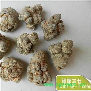 （包邮）特级20头水洗三七 产地云南省文山壮族苗族自治州文山县  库存2000公斤 可售图2