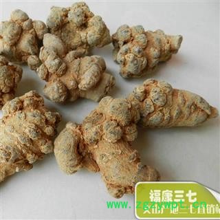 （包邮）特级20头水洗三七 产地云南省文山壮族苗族自治州文山县  库存2000公斤 可售图3