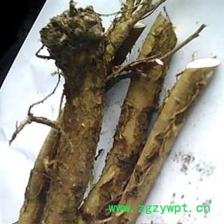 野生新鲜苦参 选根 未切片产地 湖北省黄冈市麻城市图3