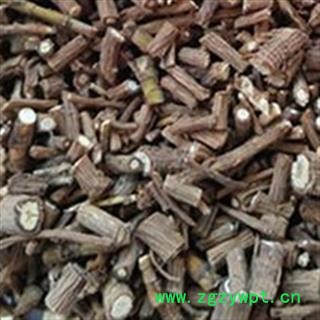 柴胡 藏柴胡统片 产地 甘肃省陇南市宕昌县图2